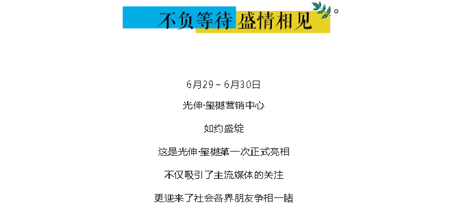 PA电子一飞冲天(集团)有限公司