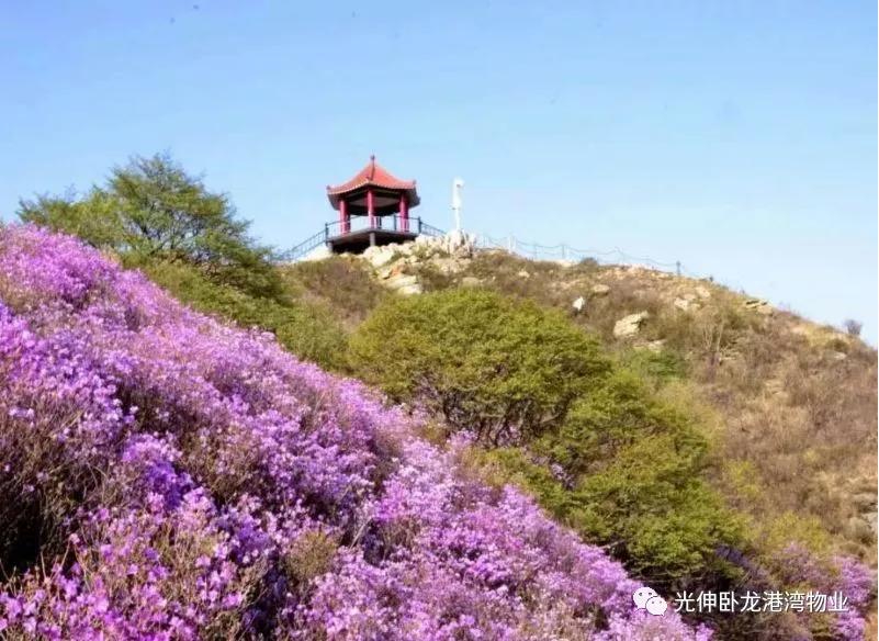 PA电子一飞冲天(集团)有限公司