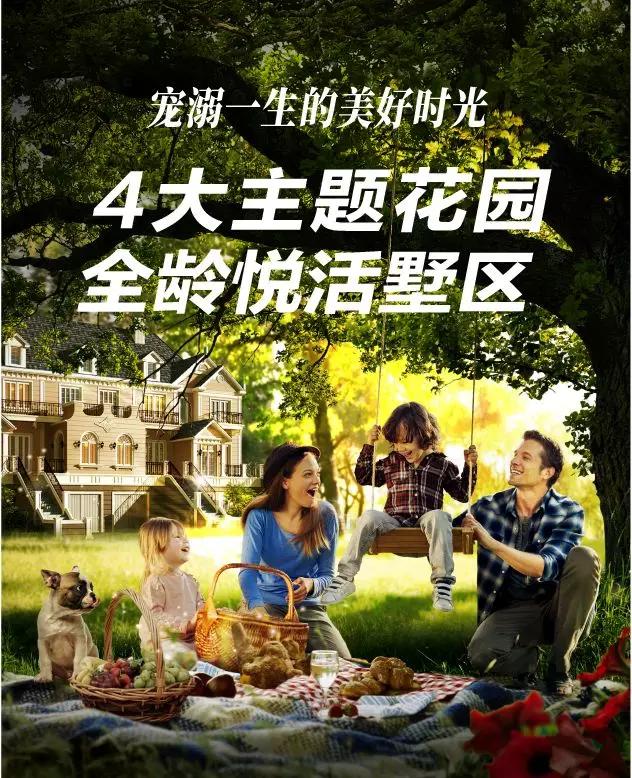 PA电子一飞冲天(集团)有限公司